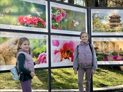 活動現(xiàn)場。中國駐保加利亞大使館供圖。