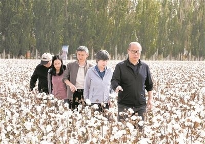 李召虎團(tuán)隊(duì)成員在棉田了解試驗(yàn)情況。 受訪單位供圖