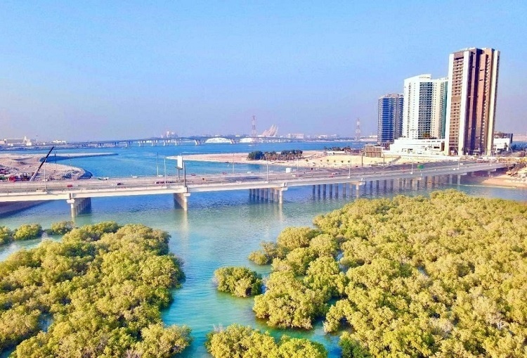 圖為瑞姆橋施工現(xiàn)場。中國土木供圖