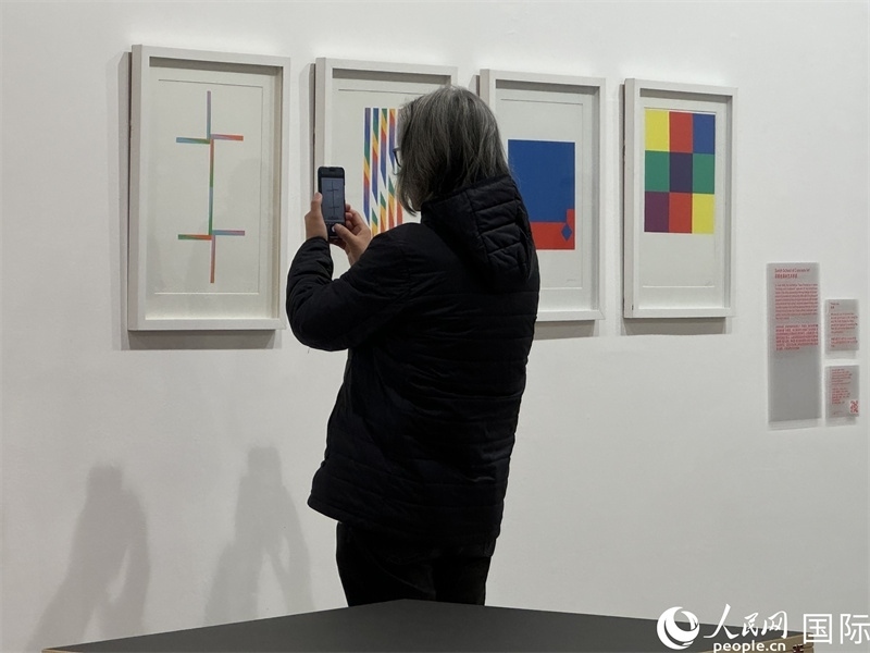 11月8日，觀眾在“瑞士經(jīng)典設計展”作品前駐足欣賞。人民網(wǎng) 謝瑩攝 