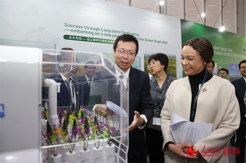 嘉賓參觀中國館。人民網(wǎng)記者任皓宇攝