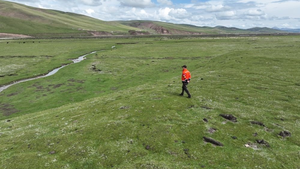 9月24日，生態(tài)管護員那瓦才郎在草場上巡護。（受訪者供圖）
