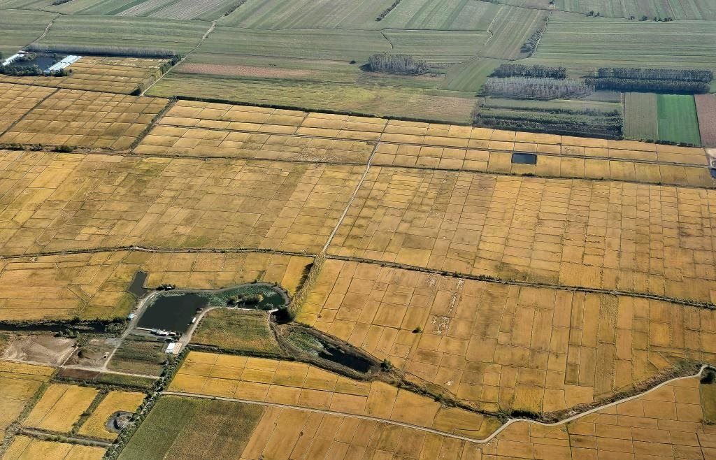 俯瞰黑龍江省哈爾濱市一處稻田（10月2日攝，無人機照片）。新華社記者 孫曉宇 攝