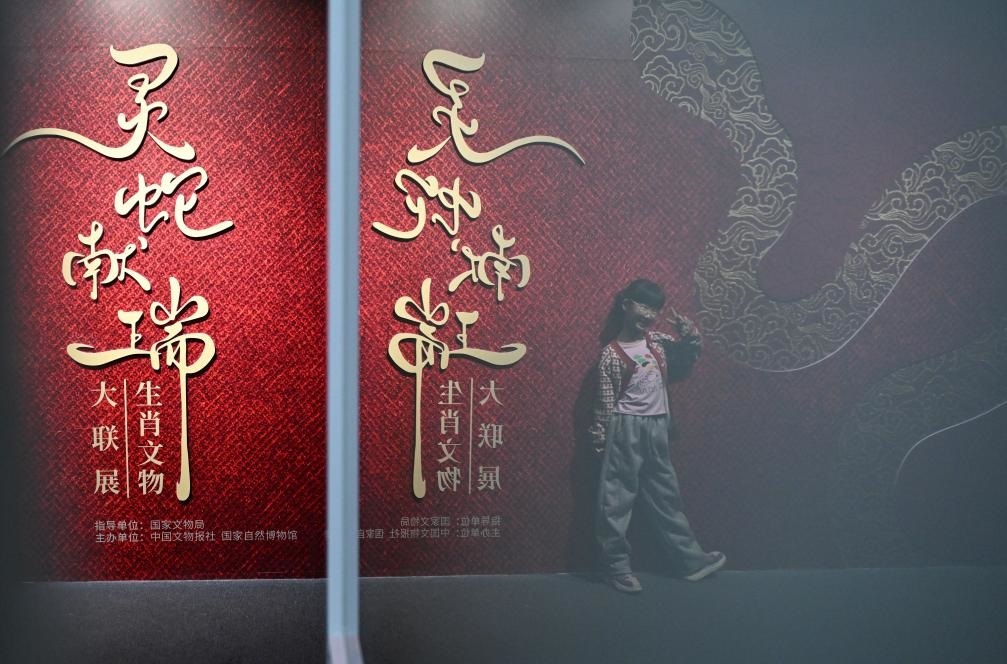 1月18日，一名小朋友在國(guó)家自然博物館舉辦的“靈蛇獻(xiàn)瑞——2025乙巳蛇年生肖文物大聯(lián)展”展覽中拍照留念。（新華社記者 陳鐘昊 攝）