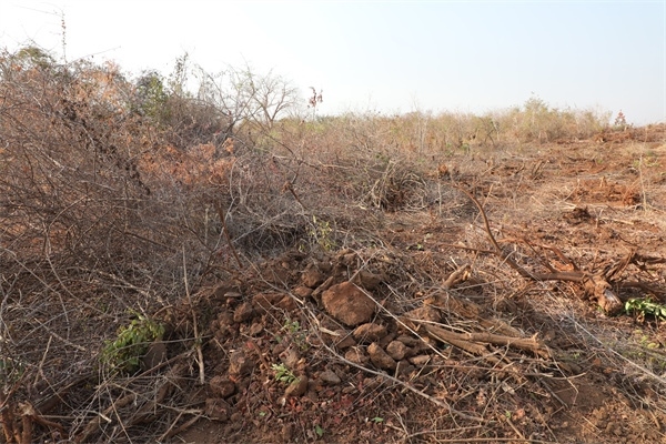 施工現(xiàn)場。張曉昆攝