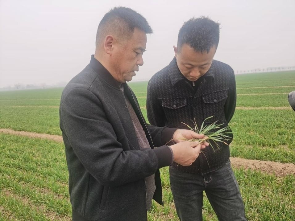 在山東濟(jì)寧汶上縣苑莊鎮(zhèn)，農(nóng)技員黃海龍對種糧大戶王振現(xiàn)場進(jìn)行春耕指導(dǎo)。人民網(wǎng)記者 車柯蒙攝