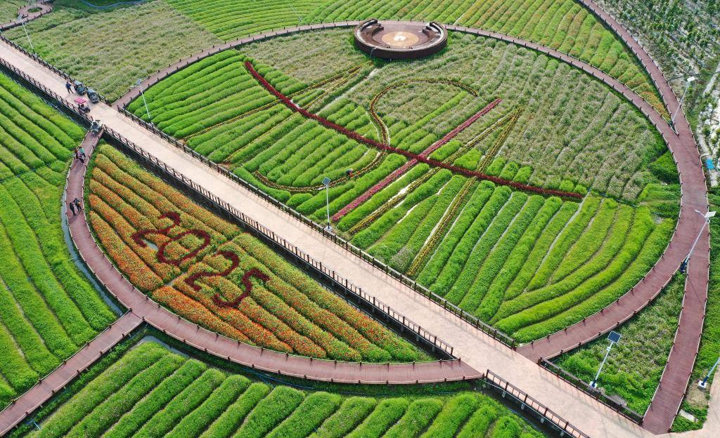 這是3月21日拍攝的瓊海博鰲南強(qiáng)村景色（無人機(jī)照片）。新華社記者 郭程 攝