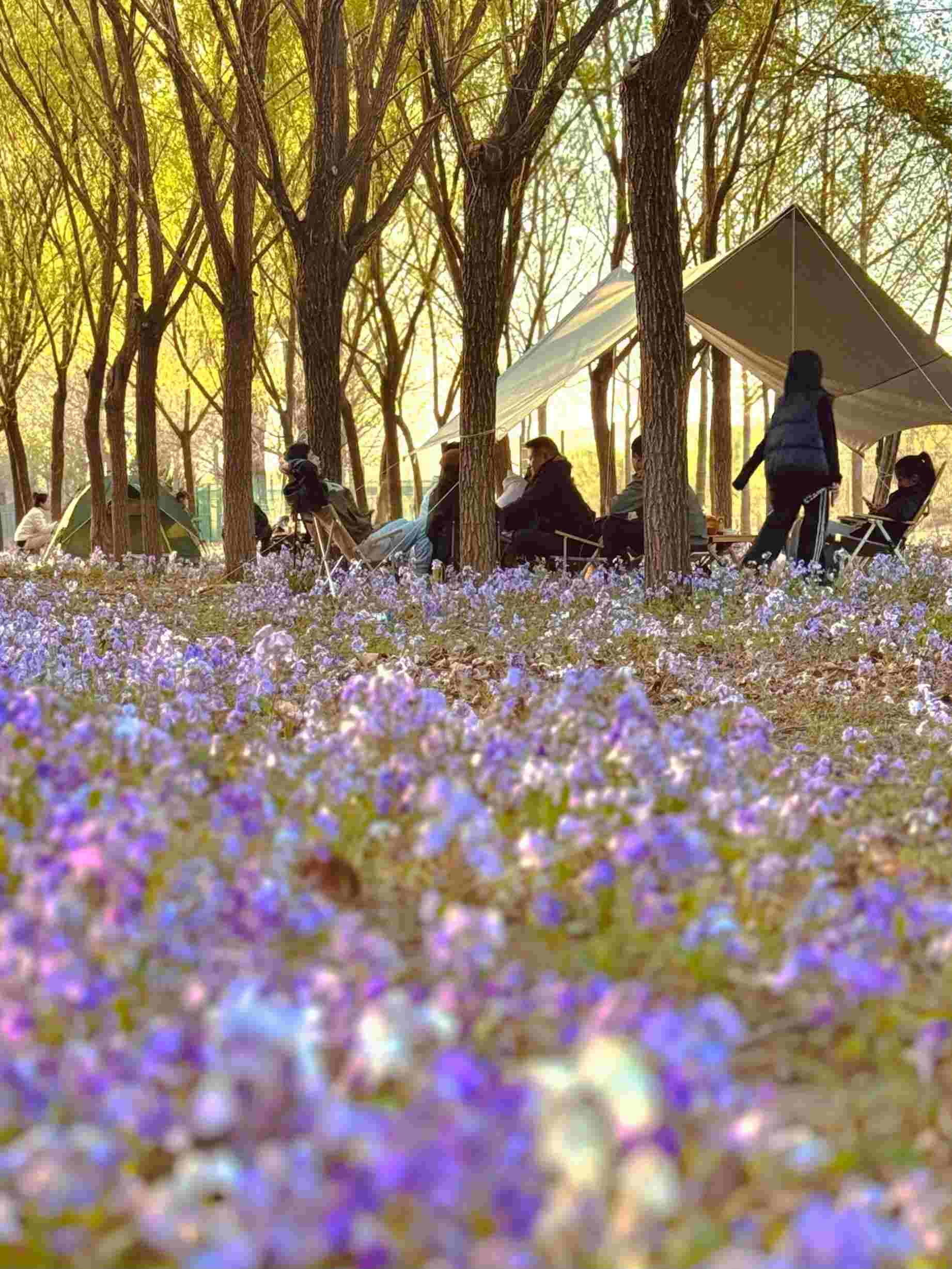 清明假期期間，范女士一家在北京溫榆河邊露營(yíng)。受訪者供圖