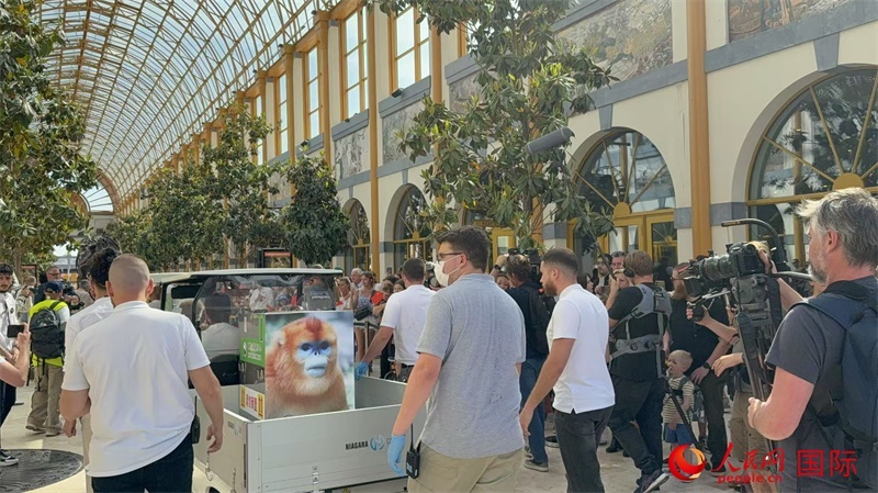 圖為活動現(xiàn)場。人民網(wǎng)記者 牛瑞飛攝