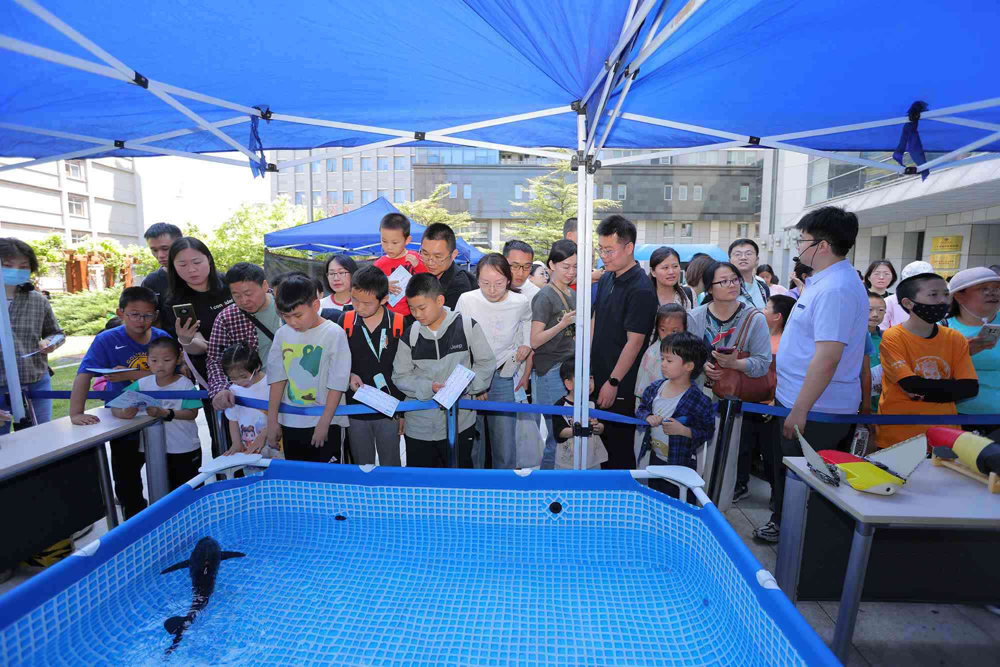 水下仿生機器魚在活動現(xiàn)場大受歡迎。中國科學院自動化研究所供圖