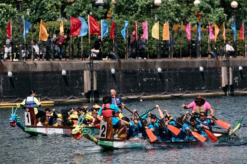 中英雙方的參賽隊(duì)伍參與龍舟競渡。楊浩鵬攝